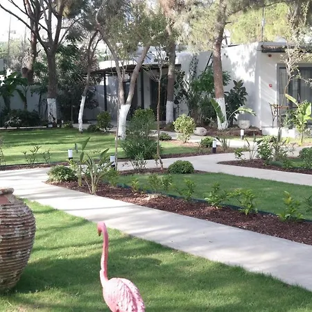 Byakkan Bodrum