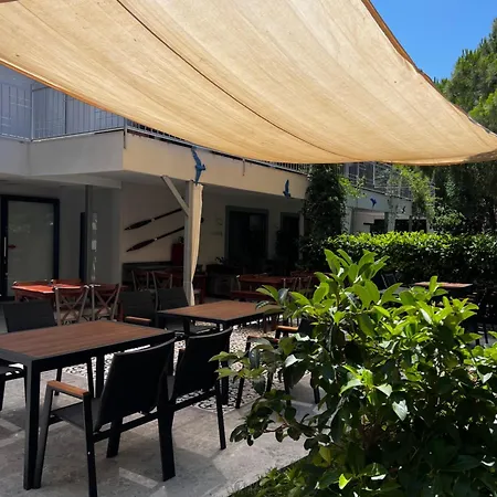 Byakkan * Αλικαρνασσός