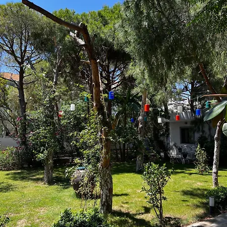 Hotell Byakkan Bodrum