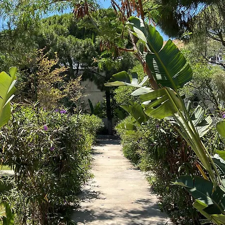 Byakkan Bodrum