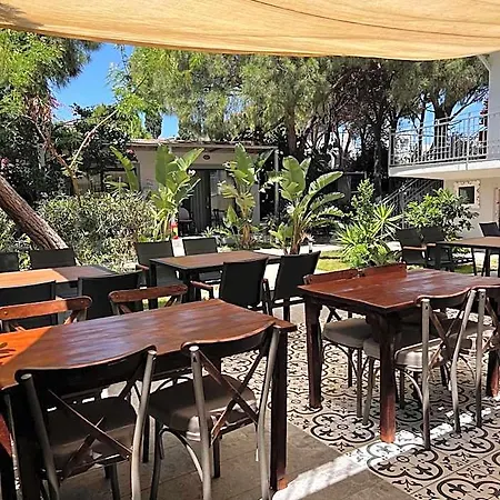 Byakkan * Bodrum
