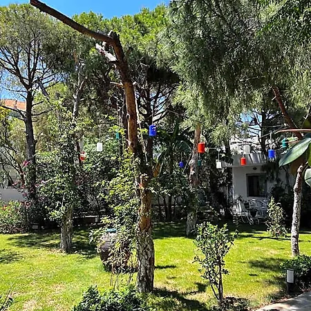 Byakkan Hotel Bodrum
